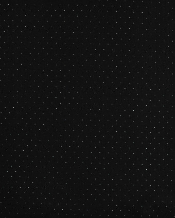 Tissu Sweat Noir Pois Scintillant - Mercerine