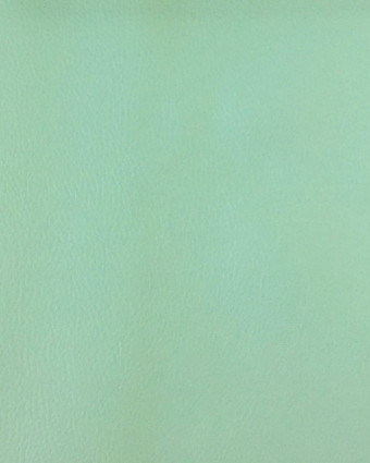 Tissus simili cuir vert riviera Karl - Mercerine