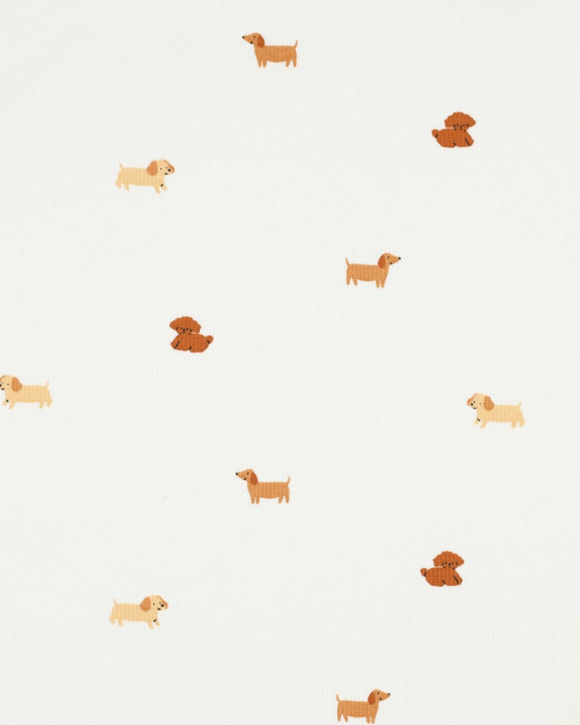 Jersey de Coton Côtelé Motif Petit Chien Ecru - Mercerine