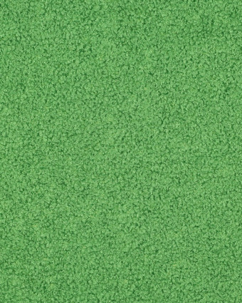 Tissu Petites Petites Bouclettes Envers Polaire Vert