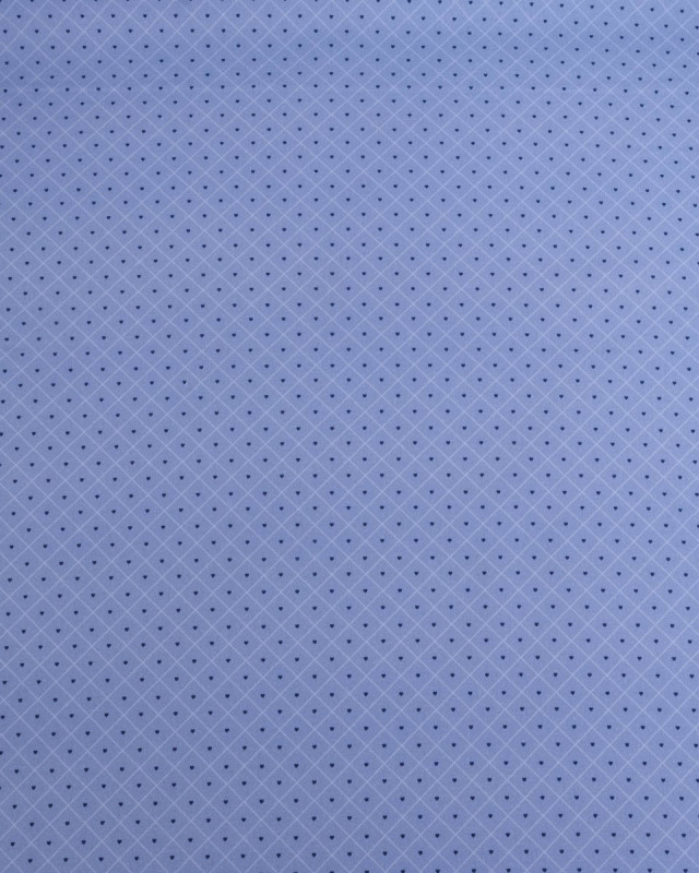 Popeline de Coton à Carreaux et Coeurs Bleus - Mercerine