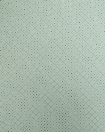 Popeline de Coton à Carreaux et Coeurs Verts - Mercerine