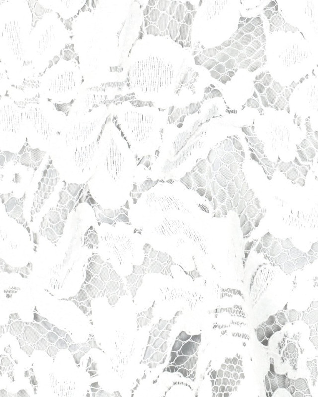 Tissu Dentelle Velours Festonnée Ecru  - Mercerine