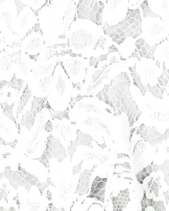 Tissu Dentelle Velours Festonnée Ecru  - Mercerine