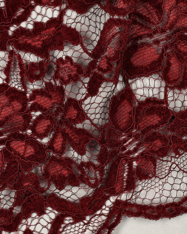 Tissu Dentelle Velours Festonnée Bordeaux - Mercerine