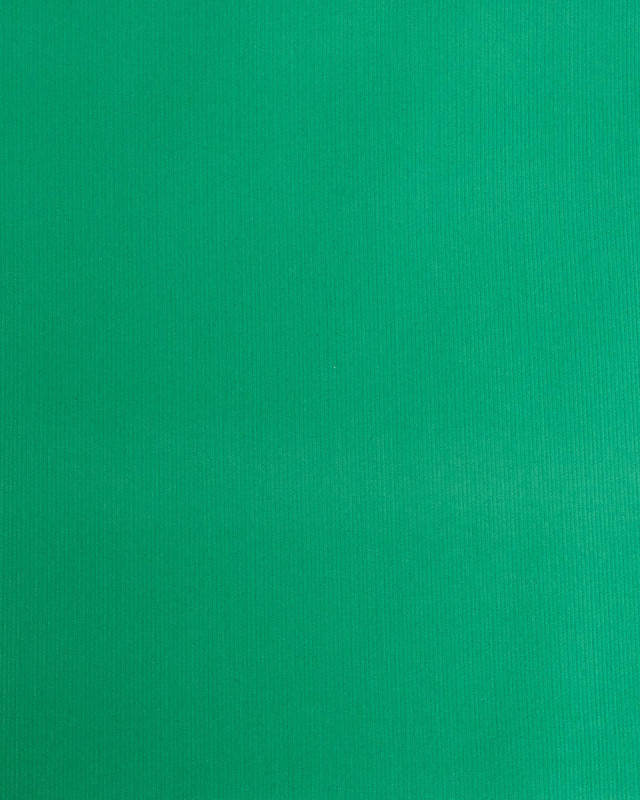 Velours Milleraies Auguste Vert Vif - Mercerine
