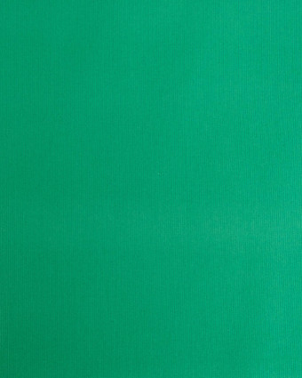 Velours Milleraies Auguste Vert Vif - Mercerine