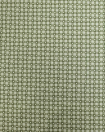 Popeline de coton vichy et étoiles Vert - Mercerine