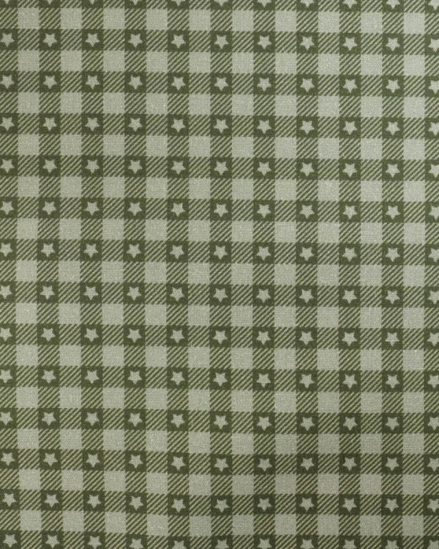 Popeline de coton vichy et étoiles Vert - Mercerine