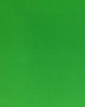 Tissu coton uni vert classique oekotex Henry - par 10cm