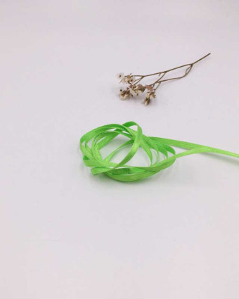 Ruban satin vert authentique