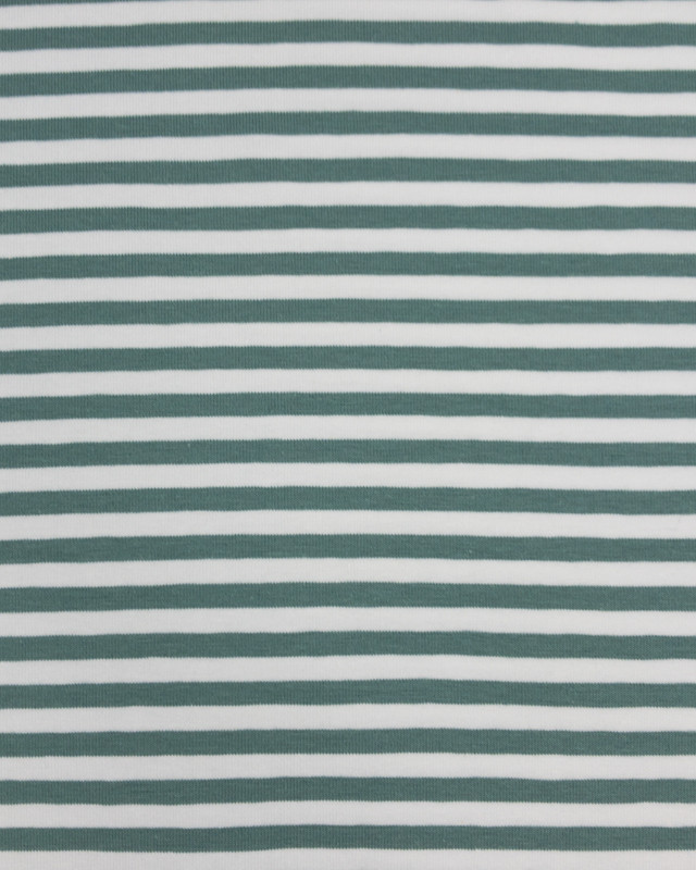 Jersey tissu marinière vert cactus - Mercerine