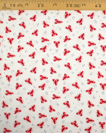 Jersey Coton Oekotex homard  x10cm