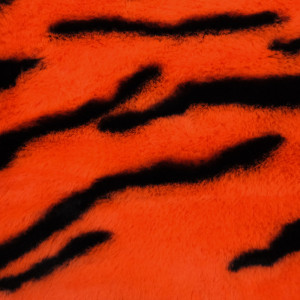 Tissu deguisement tigre...